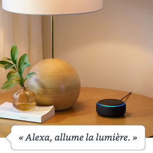 Nouvel Echo Dot